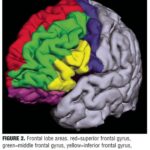 Clinical Applications of Neuroimaging for Treating Depressive Disorders