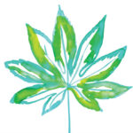 The Pathophysiology of Marijuana-induced Encephalopathy and Possible Epilepsy after Ingestion in Children: A Case Series