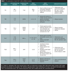 The Potential Role of T Helper Cell 22 and IL-22 in Immunopathogenesis ...