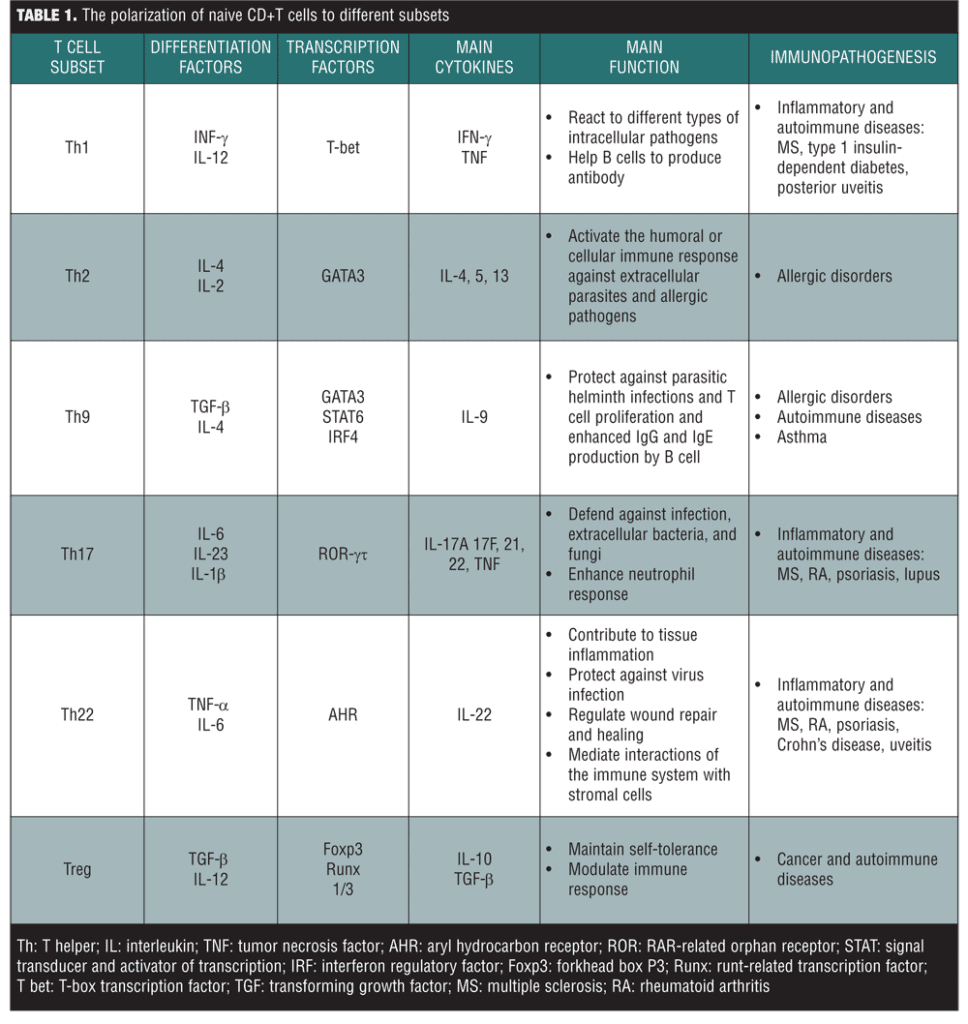 The Potential Role of T Helper Cell 22 and IL-22 in Immunopathogenesis ...