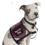 “Vetting” Service Dogs and Emotional Support Animals