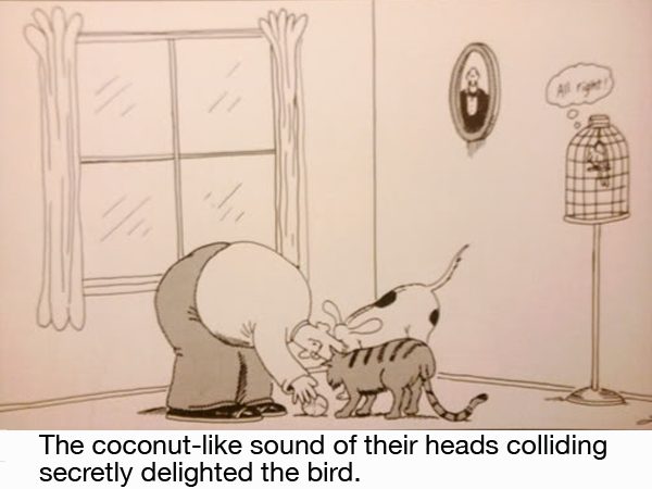 coconut_sound